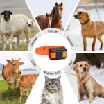 Traceur GPS MiCODUS 4G MP50G pour animaux 4000mAh